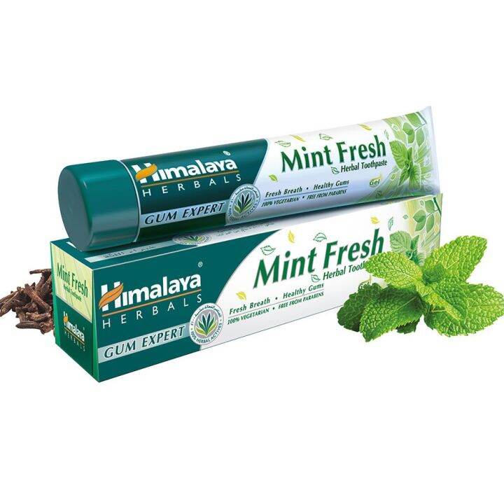 Himalaya Mint Fresh Gum Expert Toothpaste 100ml Lazada PH