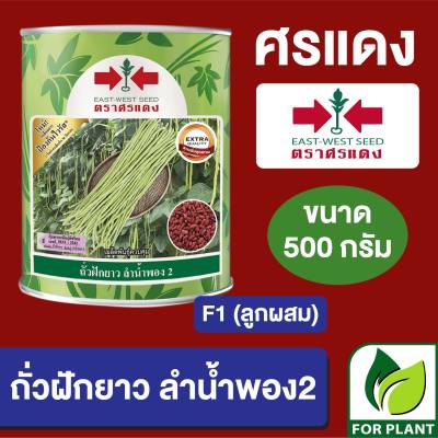 เมล็ดพันธุ์ ศรแดง ถั่วฝักยาว ลำน้ำพอง BIG ขนาด 500 กรัม