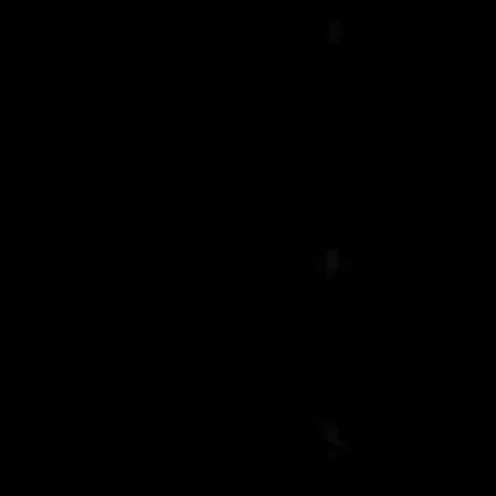 ORIGINAL Kit PREMIUM Dog LED Retractable Collar Leash Harness with Lock