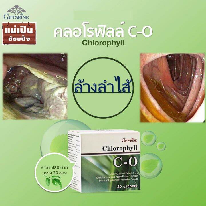 พร้อมส่ง-คลอโรฟิลล์ซีโอ-คลอโรฟิลผง-คลอโรฟิลล์-เจทานได้-chlorophyll-คลอโรฟิล-น้ำคลอโรฟิลล์-กิฟฟารีน-ของแท้100