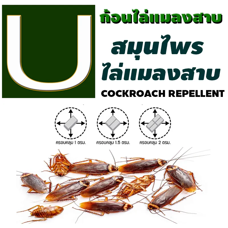 ไล่แมลงสาบ ก้อนไล่แมลงสาบ U 1 ซอง มี 4 ก้อน ปลอดภัยจากสารเคมี สมุนไพรแท้ | Lazada.co.th ไล่แมลงสาบ ก้อนไล่แมลงสาบ U 1 ซอง มี 4 ก้อน ปลอดภัยจากสารเคมี สมุนไพรแท้ | Lazada.Co.Th