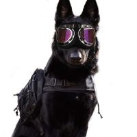 ZZOOI Cool Dog Sunglasses UV Protection Windproof Goggles Pet Eye Wear Medium Large Dog Swimming Skating Glasses Accessaries