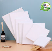 Toan Vẽ Tranh Canvas Nghệ Thuật Thủ Công Màu Trắng Đủ Kích Thước Khung Gỗ