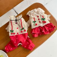 Pet Cute Princess Skirt Autumn Winter Medium Small Dog Clothes Sweet Jumpsuit Lace Lace Kitten Puppy Fashion Dress Maltese Dresses