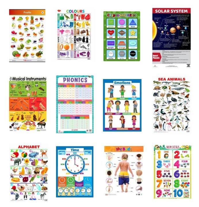 Laminated Educational Charts Lazada PH