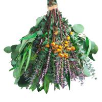 Dried Eucalyptus Bundle Natural Eucalyptus and Lavender Flowers for Shower Artificial Plants Flowers for Cafes Restaurants Bedroom Bathrooms Garden Study Room polite