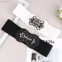 1pc Fashion Elegant Black White Elastic Waistband Wide Waist Belts For Women Girdle Dress Shirt Decoration