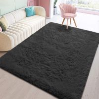 Modern Furry Area Rug Shag Rug for Living Room Fluffy Soft Fuzzy Carpet for Kids Room Home Decor Mat Non-Slip Plush Fuzzy Carpet