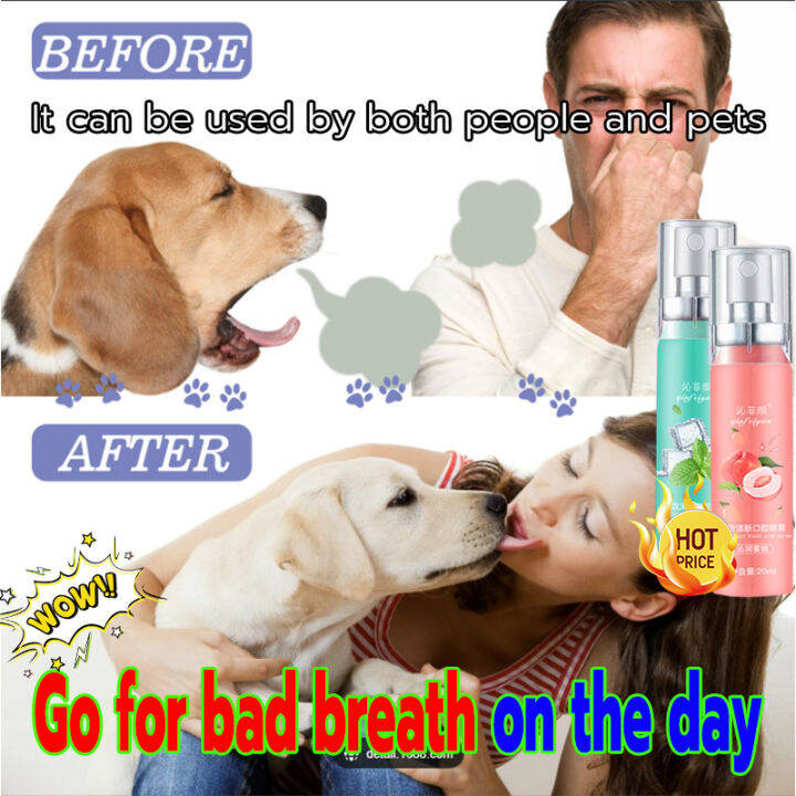 Mouth spray bad breath removal Fresh Breath Remove Smoke 24 hours to