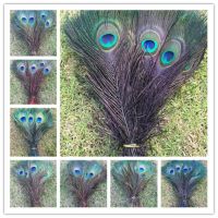 Free shipping 10pcs pretty 10 12 inch / 25 30 cm peacock feather eyes color (optional)