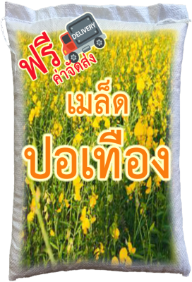 ส่งฟรี เมล็ดปอเทือง(sunhepm)