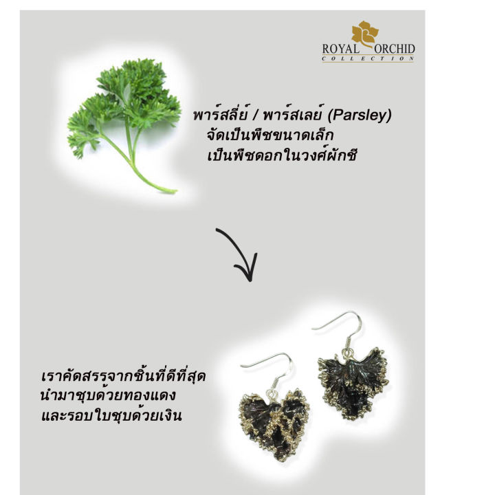 royal-orchid-ต่างหูใบไม้-ต่างหูสีดำ-ต่างหู-ตุ้มหู-ต่างหู