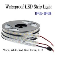 SMD 5050 12V Waterproof LED Strip Light Warm White Blue Green Red RGB Flexible Lamp Ribbon IP65 IP67 IP68 Outdoor Lighting Tape LED Strip Lighting