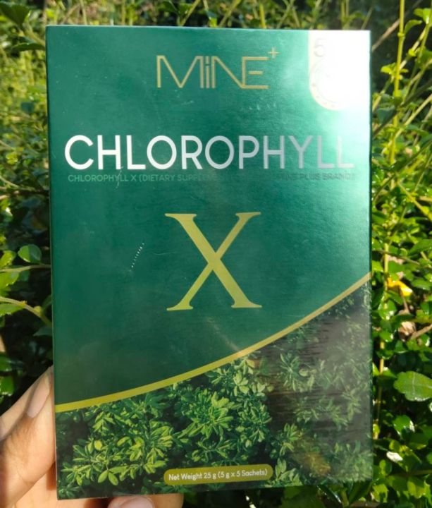 คลอโรฟิลล์-เอ็กซ์-mine-chlorophyll-x-ผลิตภัณฑ์เสริมอาหาร-คลอโรฟิลล์-เอ็กซ์-ตรา-มายน์-พลัส-1-กล่อง-มี-5-ซอง