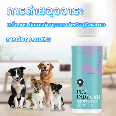 🐶จัดส่งวันนั้น🐱 ช่วยให้ลูกสุนัขและแมวเข้าห้องน้ําในสถานที่ที่กําหนด（สเปย์ฝึกหมาฉี่/ห้องน้ำสุนัข/ฝึกหมาฉี่）