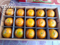 กล่องช่องมีที่คั่น เบอร์ 6 ผิวติดลาย 30 ลูก  ส้มสายน้ำผึ้ง?