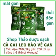 TRÀ TÚI LỌC CÀ GAI LEO BỊCH 1kg. Có khả năng trị hiệu quả viêm gan