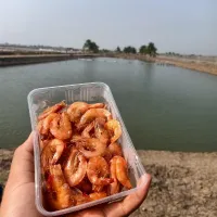 กุ้งหวาน พร้อมทาน 1กล่อง 200 กรัม