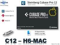 Steinberg - Cubase 12 โปรแกรมแต่งเพลง มิกซ์เสียง สำหรับ MAC