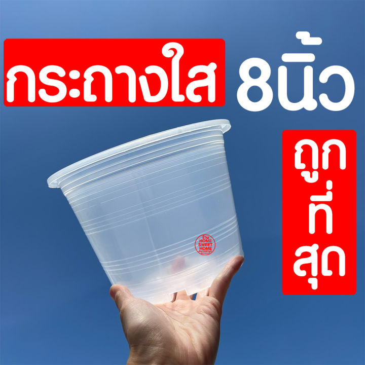 กระถางใส-กระถางพลาสติกใส-4นิ้ว-5-5นิ้ว-6นิ้ว-8นิ้ว-กระถางต้นไม้ใส-กระถางต้นไม้-กระถางพลาสติก-กระถางสีใส-กระถางส่องราก-กระถางต้นไม้สีใส