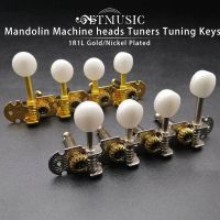 1ชุด Mandolino Teste Meccaniche Sintonizzatori Chiavi Di Accordura Pioli Per Mandolino