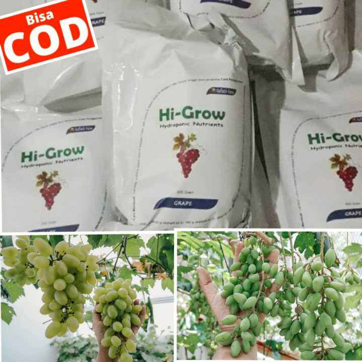 Pupuk Anggur Hi-Grow Nutrisi AB Mix Tanaman Buah Anggur, Pupuk Anggur ...