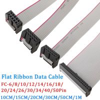 1Pcs 2.54mm Pitch JTAG ISP Gray Flat Ribbon Data Cable FC-6/8/10/12/14/16/18/20/24/26/30/34/40/50 Pin FOR DC3 F/F IDC Box Header Wires  Leads Adapters