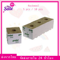 (ส่งจากไทย) Rockwool Grodan ร็อควูล 5/10 ชิ้น 36x36x40mm. เลือกได้เลย ก้อนสำหรับเพาะปลูกต้นกล้าเมล็ดพันธ์ุ เพาะชำ ไฮโดรโปนิกส์ ส่งไวโดย KERRY