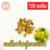 เมล็ดดอกโสน 50 เมล็ด Sesbania เมล็ดพันธุ์ดอกโสน เมล็ดโสนดอกใหญ่ โสนเพาะเห็ดตับเต่า เมล็ดผักสวนครัว เมล็ดพันธุ์ผัก