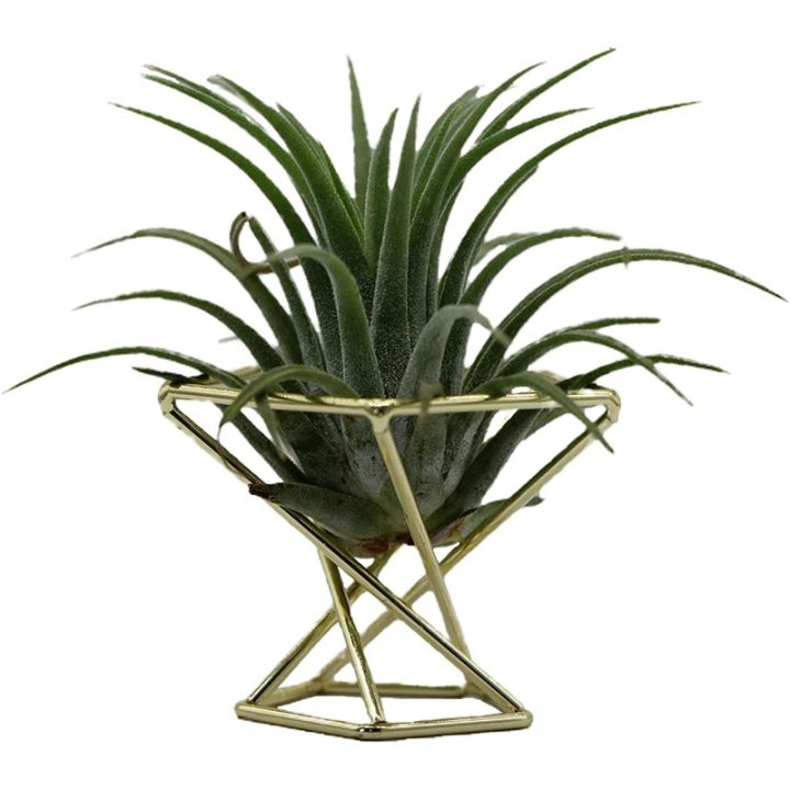 3-pcs-geometric-air-plant-holder-airplants-rack-metal-plants-stand-planter-shelves-himmeli-decor-tillandsia-containers