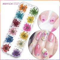 ที่ตกแต่งเล็บกลีบดอกสามสีลูกไม้ดอกไม้คริสตัลดอกไม้แห้งศิลปะ Maffiknail 12สี