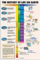 ประวัติความเป็นมาของชีวิตบนโลกโลหะดีบุกสัญญาณความรู้ของโลกโปสเตอร์โลหะครูสำนักงานการศึกษาอุปกรณ์ตกแต่งผนังบ้านศึกษาห้องเรียนแผ่นโลหะวิทยาศาสตร์สำหรับเด็ก X นิ้ว