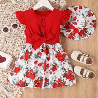 Kids Baby Girls Floral Dress Summer Flying Sleeves Princess A-line Dress and Sun Hat Set for Toddler Beach Party Wear  by Hs2023