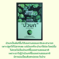 หนังสือสมุนไพร สมองใสชะลอวัยด้วย "บัวบก" : บัวบกของดีใกล้ตัวมากด้วยสรรพคุณ, อาหารสมองที่หลายคาดไม่ถึง, ดูแลผู้สูงอายุด้วยบัวบก