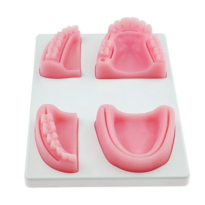 4 Pcs/ Set Dental Oral/Gum Suture Training Module Silicone Periodontitis Suture Model