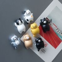 ✺ 3pcs Resin Refrigerator Magnets for Refrigerator Home Decorator Cartoon Creative Cat Refrigerator Magnets Cute Magnets