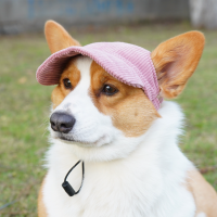 หมวกสัตว์เลี้ยง Casual Cat Dog Cross-Dressing Hat Summer Sun Visor Photography Props Puppy Accessories