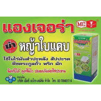 สารกำจัดวัชพืช-ใบแคบ แองเจอร่า ควิซาโลฟอปพีเอทิล กำจัดหญ้าใบแคบและลูกข้าวทุกชนิด ใช้ในพืชปลูกใบกว้าง ตราหัววัว-คันไถ