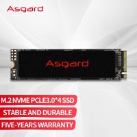 Asgard AN2 Internal Hard Disk 250GB 500GB PCIe3.0 X4 Solid State Drive M.2 NVMe m2 2280 for laptop desktop