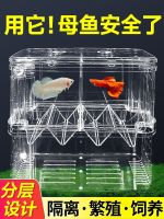 ♤✎ tank multi-functional isolation net aquarium box plate large incubator fish peacock breeding