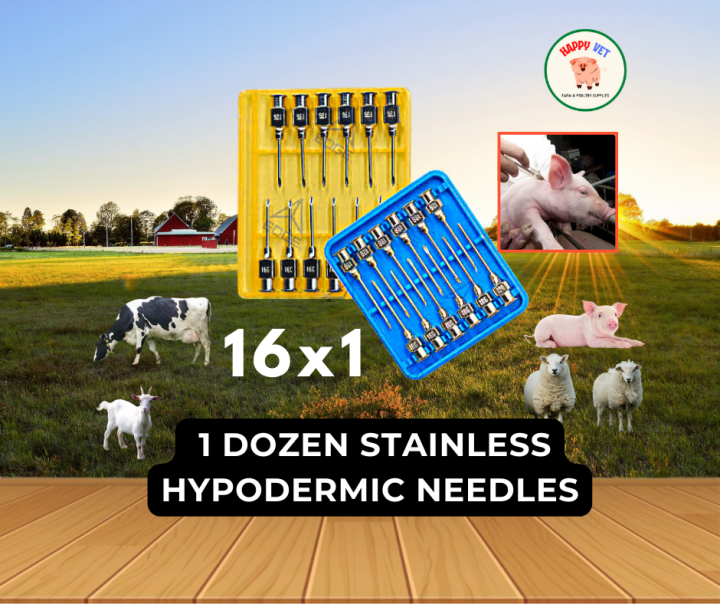 12pcs Stainless Hypodermic Needles for Weanling Pigs and Livestock