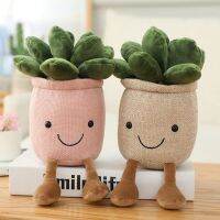 【CW】♠  25cm Succulent Lifelike Stuffed Decoration Potted Kids