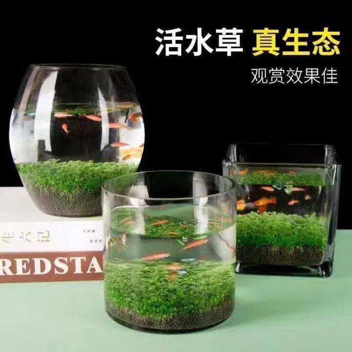 Watergrass mud pottery grain sand aquarium landscaping bottom sand non