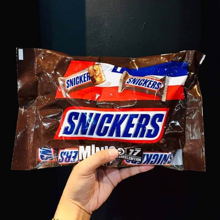 Snickers Chocolate Minis 170g | Lazada PH