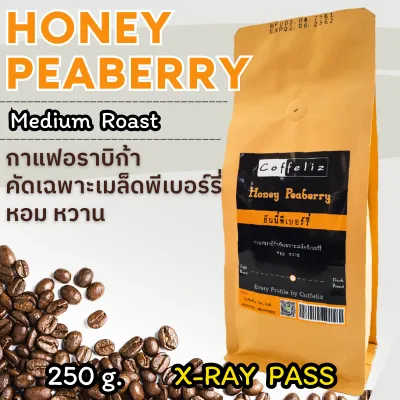 เมล็ดกาแฟ ฮันนี่พีเบอร์รี่ Honey Peaberry [Coffeliz Roaster]