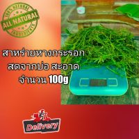 สาหร่ายหางกระรอก 80 g อาหารปู กุ้ง หอย ตกแต่ง อ่างปลา