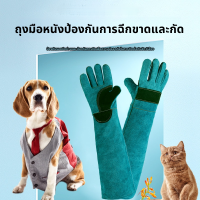 ciuciu ถุงมือหนังวัว กันกัด กันสุนัขกัด กันข่วนแมว ฝึกสุนัข ฝึกสุนัข กันขีดข่วนสัตว์เลี้ยง