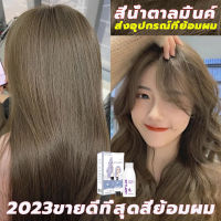 2023ขายดีที่สุด สีย้อมผม ครีมย้อมผม ยาย้อมผม เปลี่ยนสีผม ไม่ทำร้ายเส้นผม ยาย้อมผมพืช สีติดทนนานเป็นธรรมชาติ ครีมเปลี่ยนสีผม STYLE FIT Hair Dye200ml ⚡️ส่งอุปกรณ์ที่ย้อมผม⚡️สีผมยอดนิยมล่าสุดในปี2023สีชานม