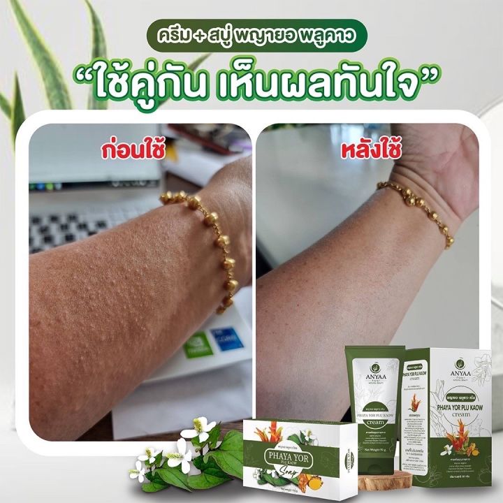 ครีม1หลอด-290-ครีมพญายอพลูคาว-บริษัทรีมแก้คัน-เชื้อรา-ของแท้จาก