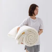 YanYangTian Comforter All-Season Bed duvets Antibacterial Soybean Quilt Warm Winter Blanket Air conditioning king size bed duvet